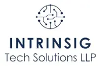 intrinsigtech_solutions_llp_logo copy
